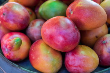 New mango for sale at local farmers market