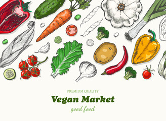 Horizontal background with different vegetables. Organic food