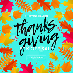 Thanksgiving sale poster for autumn or fall shopping promo season or autumnal shop 50 percent discount background template. Vector maple and oak falling leaf pattern for Thanksgiving sale web banner