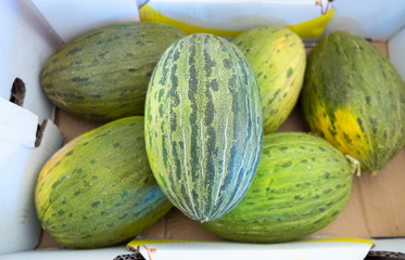 Carton box of rough skin green melons at city farmers market