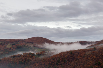 Hills covered by red, autumn trees, with fog between them