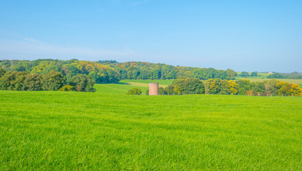 Obraz premium Panorama of a field on a hill in sunlight at fall