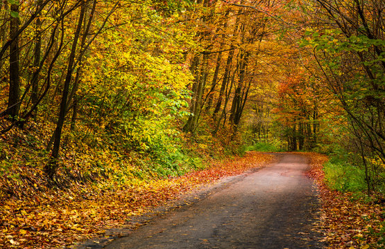 light spot on the road turnaround in autumn forest. beautiful nature scenery with lots of colorful foliage on hillside