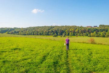 Fototapeta na wymiar Path through a field in sunlight in autumn