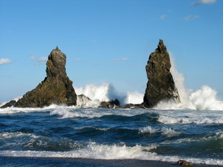 Дальнегорск море 