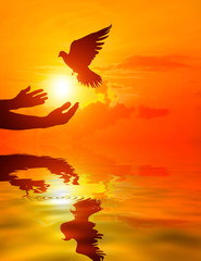 Naklejka na ściany i meble Silhouette of one hand desire to Dove fly and water reflection on sunset time