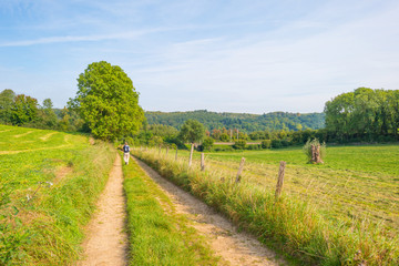 Fototapeta na wymiar Path through a field in sunlight in autumn