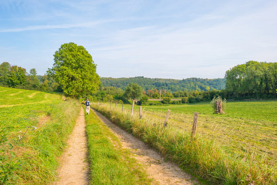 Path through a field in sunlight in autumn