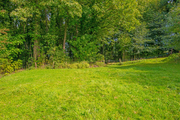 Fototapeta na wymiar Panorama of a green meadow on a hill in sunlight at fall
