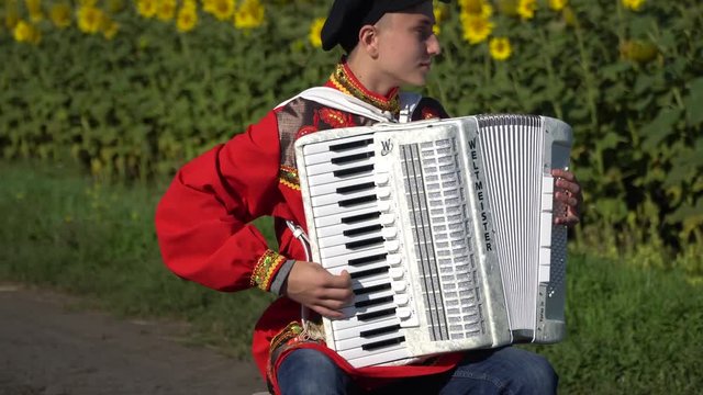 A young man in a Russian national traditional costume plays the accordion on a country road, among a wheat and sunflowers field.