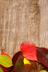 image of autumn leaves over wooden textured background