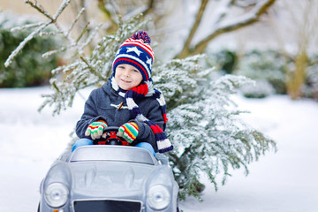 Funny little smiling kid boy driving toy car with Christmas tree.