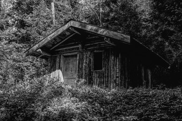 The hut
