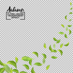 Green leaves flying with the wind. Vector objects on transparent background