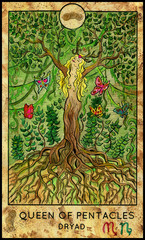 Dryar or forest nymph. Minor Arcana Tarot Card. Queen of Pentacles - obrazy, fototapety, plakaty