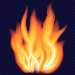 Fototapeta premium Big fire concept background, realistic style