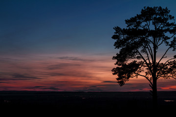 A colorful fairy magical pink-blue sunset by the countryside and a magnificent deciduous tree in the foreground.