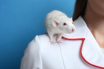A white rat sits on the shoulder