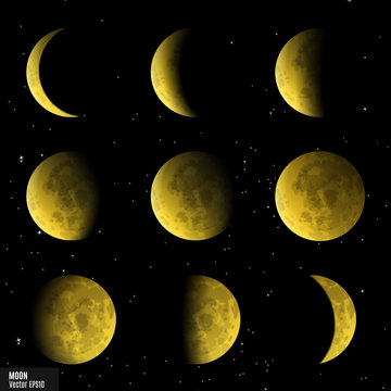 Vector set of moon phases