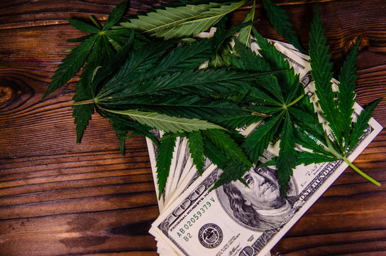 Leaves of the cannabis plant and one hundred dollar bills on wooden table. Top view