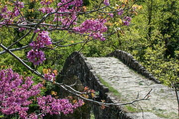 ottoman bridge in the nature
