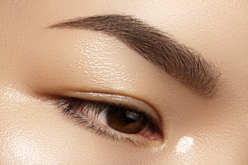 Beautiful macro of female eye with clean makeup. Perfect shape eyebrows. Cosmetics and make-up....