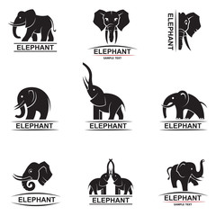 Naklejka premium monochrome collection of elephant logos