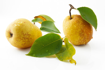 Ripe and juicy pears with foliage isolated on white background