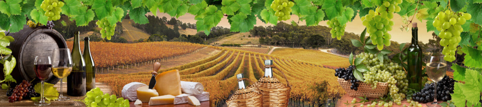 wine