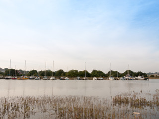 row of parked boats on river across the way