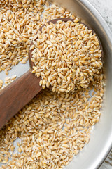 Enkir (or Einkorn, the oldest cereal in the world