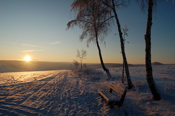 Morgenspaziergang im Winter