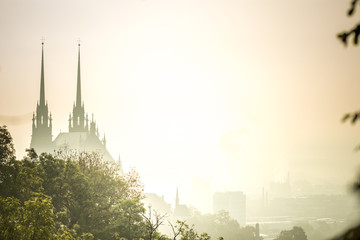 View of old city in fog at sunrise. City of Brno czech republic - Cathedral of St. Peter and Paul. - obrazy, fototapety, plakaty
