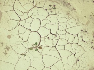 Obraz premium Abstract and cracked grungy soil