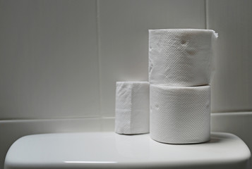 Toilet paper on flush toilet.