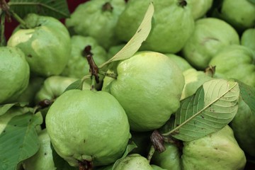 Guava fruit