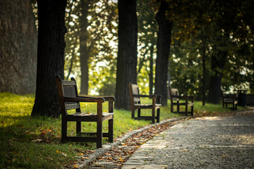 Autumn road with benches in the city park at sunrise. Brno czech republic.