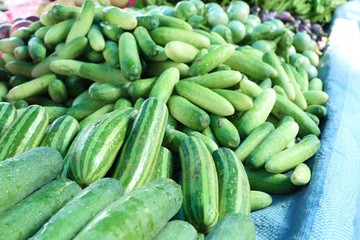 cucumber in the market