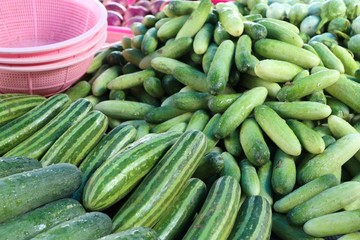 cucumber in the market