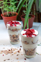 yogurt and granola cup