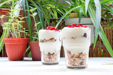 yogurt and granola cup