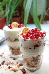 yogurt and granola cup