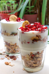 yogurt and granola cup