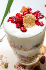 yogurt and granola cup