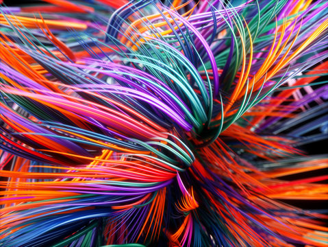 Colorful Trails