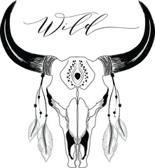 Bohemian Bull  Skull with feathers