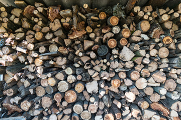 cut round logs - firewood stack background pattern