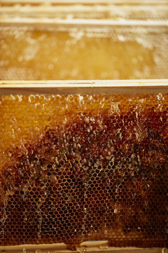 honeycomb