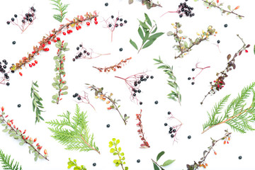 Autumn floral background