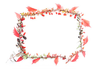 Autumn floral background